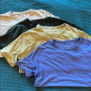 Everlane T-Shirt Collection in Blue, Green, and Gray